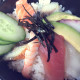 101. Chirashi Don (mixed sashimi) 